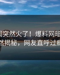 昨晚丑闻突然火了！爆料网暗网大V居然揭秘，网友直呼过瘾