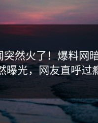 昨晚丑闻突然火了！爆料网暗网大V居然曝光，网友直呼过瘾