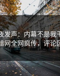 明星深夜发声：内幕不是我干的！爆料网暗网全网疯传，评论区炸了