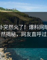 本周八卦突然火了！爆料网暗网网红居然揭秘，网友直呼过瘾