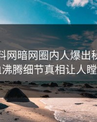 最新爆料网暗网圈内人爆出秘闻，热血沸腾细节真相让人瞠目