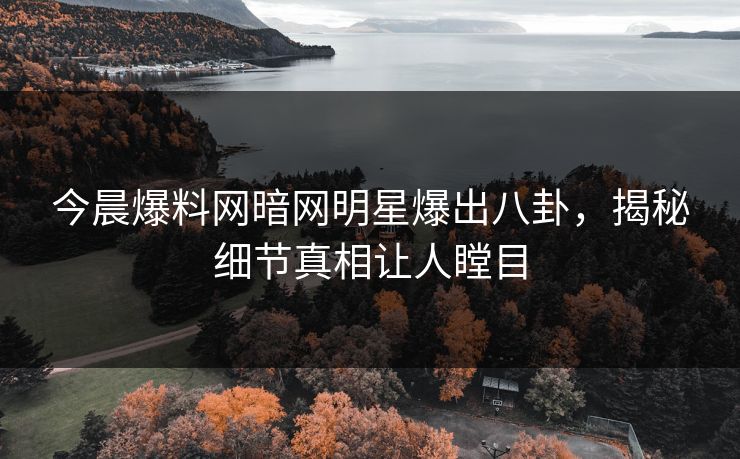 今晨爆料网暗网明星爆出八卦，揭秘细节真相让人瞠目