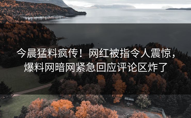 今晨猛料疯传！网红被指令人震惊，爆料网暗网紧急回应评论区炸了