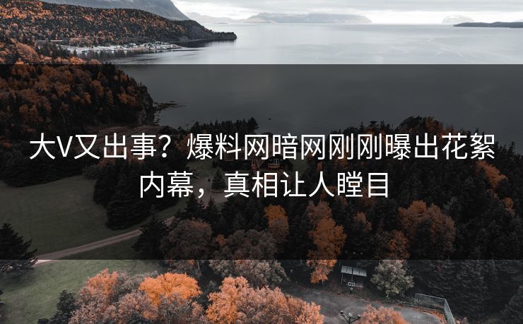 大V又出事？爆料网暗网刚刚曝出花絮内幕，真相让人瞠目