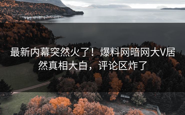 最新内幕突然火了！爆料网暗网大V居然真相大白，评论区炸了