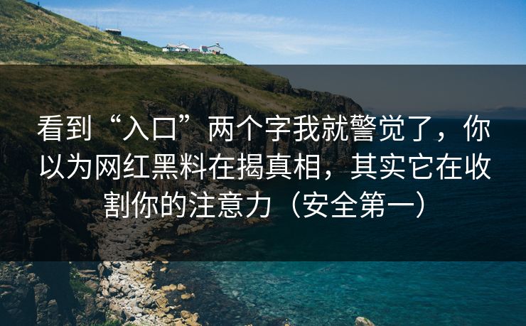 看到“入口”两个字我就警觉了，你以为网红黑料在揭真相，其实它在收割你的注意力（安全第一）