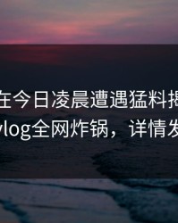 神秘人在今日凌晨遭遇猛料揭秘，糖心vlog全网炸锅，详情发现