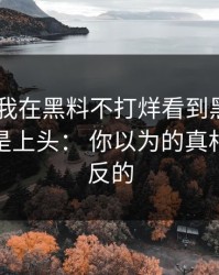 最近： 我在黑料不打烊看到黑料，第一反应是上头： 你以为的真相可能是反的