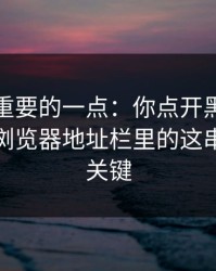 冷门但重要的一点：你点开黑料导航之后，浏览器地址栏里的这串字符很关键