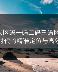 国产无人区码一码二码三码区别解析：智能时代的精准定位与高效管理