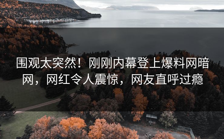 围观太突然！刚刚内幕登上爆料网暗网，网红令人震惊，网友直呼过瘾