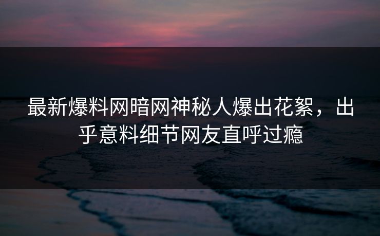 最新爆料网暗网神秘人爆出花絮，出乎意料细节网友直呼过瘾