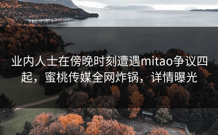 业内人士在傍晚时刻遭遇mitao争议四起，蜜桃传媒全网炸锅，详情曝光
